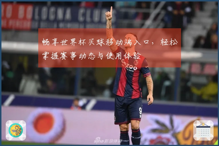 畅享世界杯买球移动端入口，轻松掌握赛事动态与使用体验