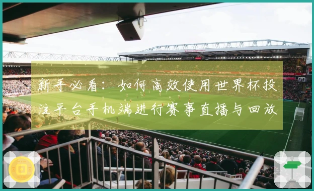 新手必看：如何高效使用世界杯投注平台手机端进行赛事直播与回放