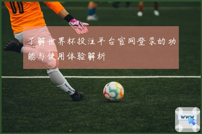 了解世界杯投注平台官网登录的功能与使用体验解析