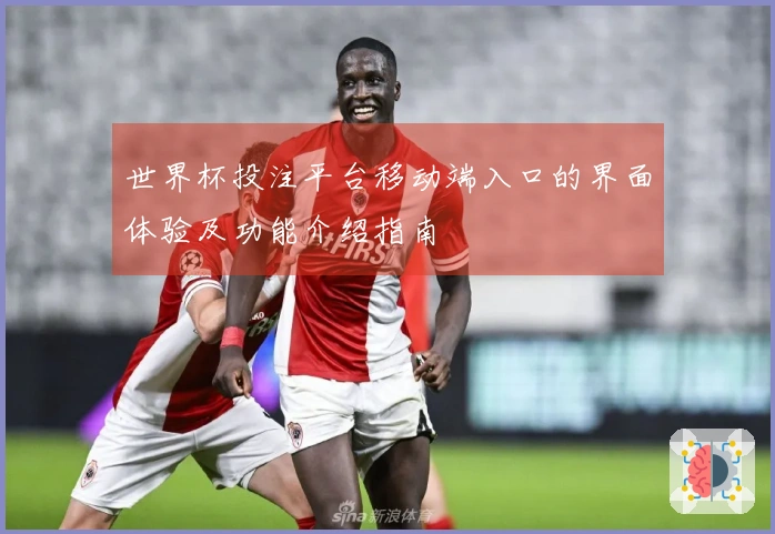 世界杯投注平台移动端入口的界面体验及功能介绍指南
