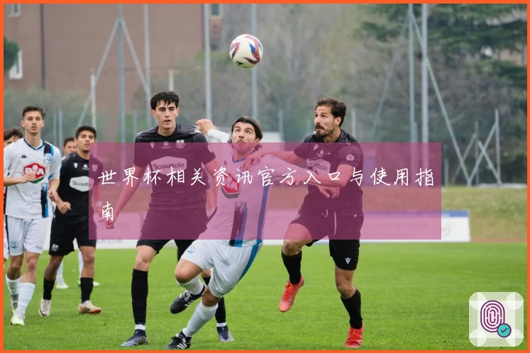 世界杯相关资讯官方入口与使用指南
