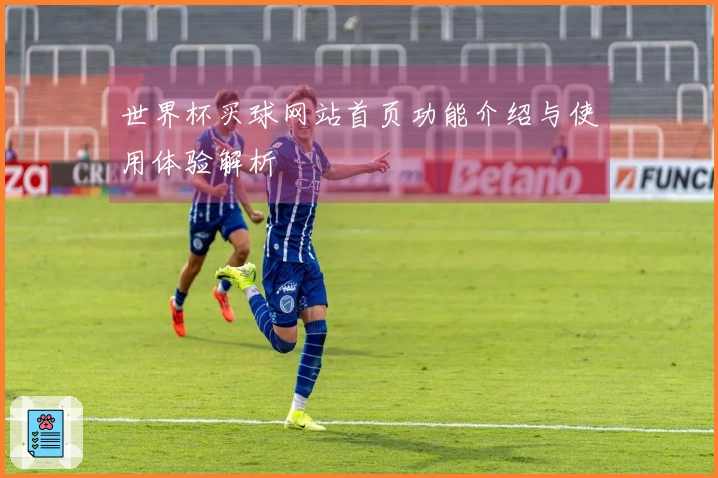 世界杯买球网站首页功能介绍与使用体验解析