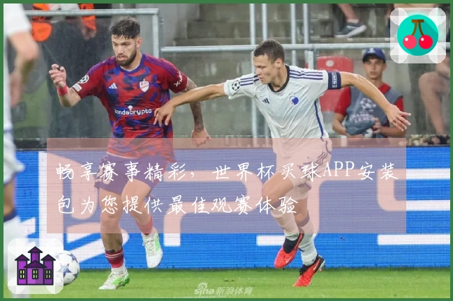 畅享赛事精彩，世界杯买球APP安装包为您提供最佳观赛体验