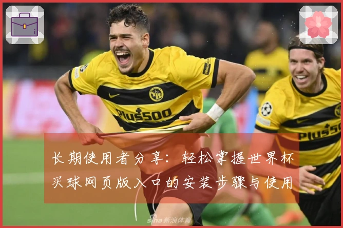 长期使用者分享：轻松掌握世界杯买球网页版入口的安装步骤与使用体验