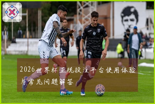 2026世界杯正规投注平台使用体验与常见问题解答