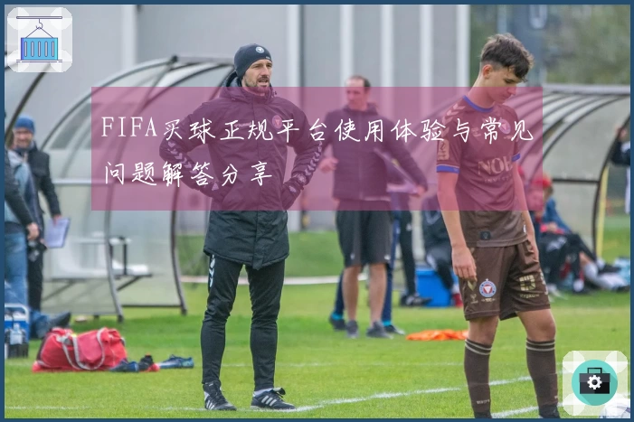 FIFA买球正规平台使用体验与常见问题解答分享