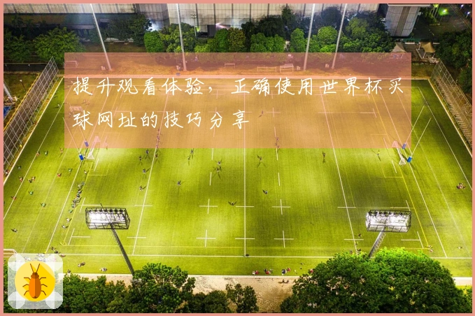 提升观看体验，正确使用世界杯买球网址的技巧分享