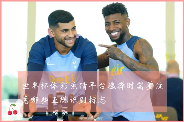 世界杯体彩竞猜平台选择时需要注意哪些正规识别标志