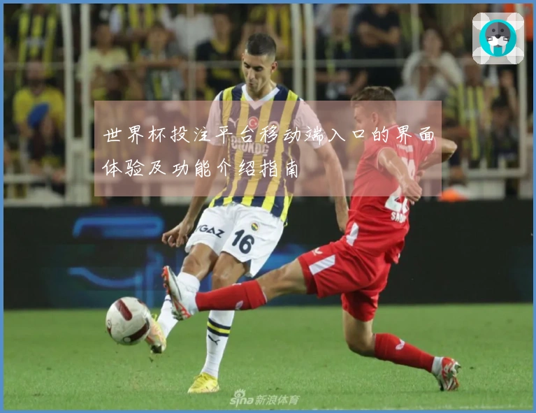 世界杯投注平台移动端入口的界面体验及功能介绍指南