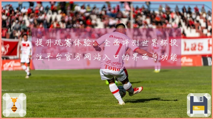 提升观赛体验：全面评测世界杯投注平台官方网站入口的界面与功能